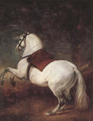 Diego Velazquez A White Horse (df01) Sweden oil painting art